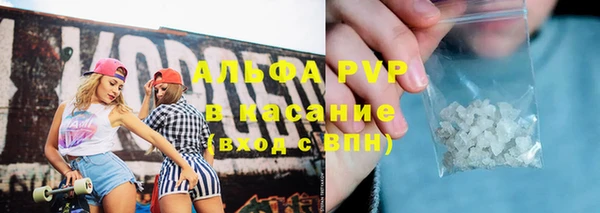 прущие грибы Абаза