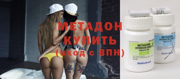 прущие грибы Абаза