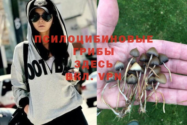 кокс Абдулино