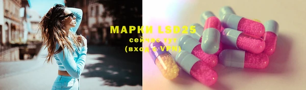 прущие грибы Абаза
