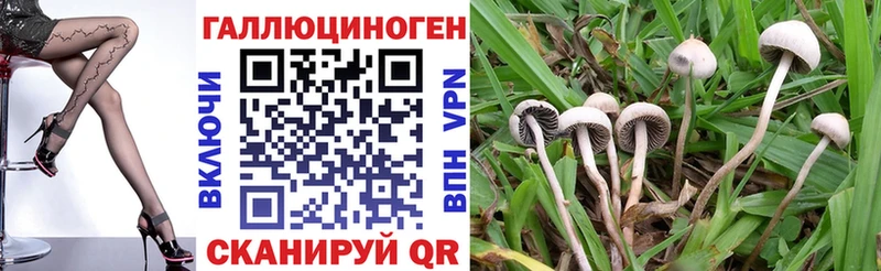 Псилоцибиновые грибы GOLDEN TEACHER  Холм 